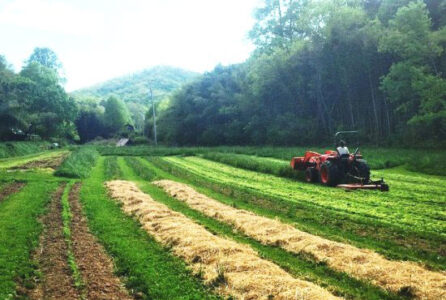 ‘Lucky’ Young Farmers Image